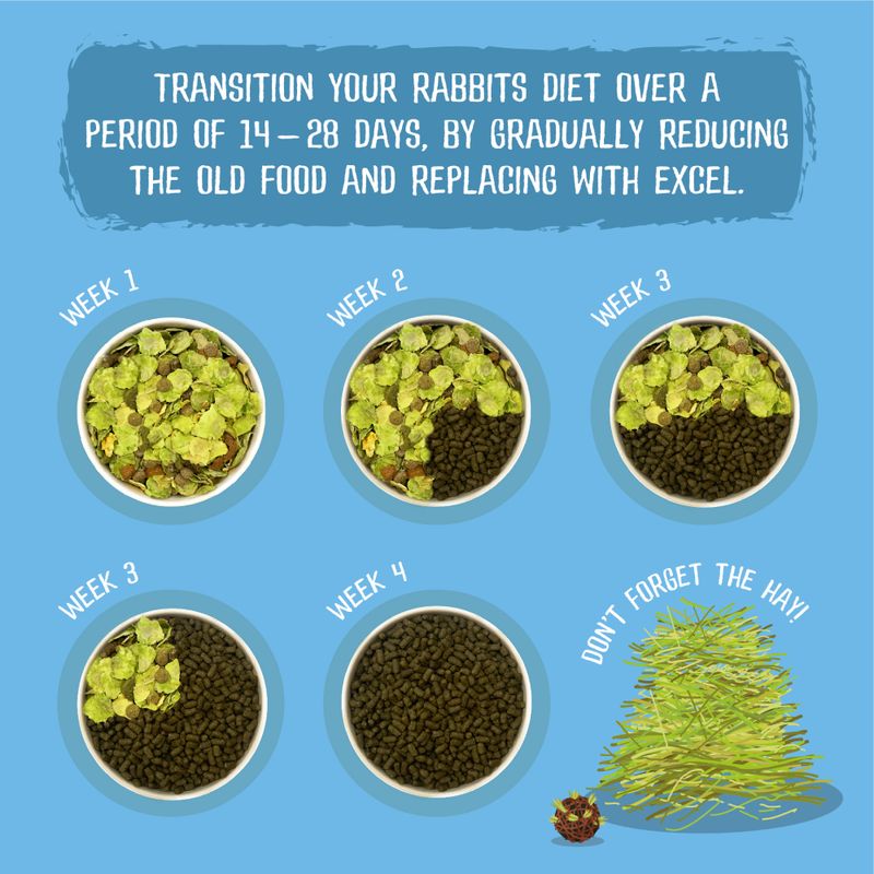 Gradual transition chart for rabbit diet with Excel and hay on a blue background