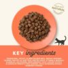 Applaws Chicken & Salmon Cat Food-Alifant Food Supplier