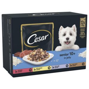 Cesar 10+ Senior Selection in Jelly 40 x 100g