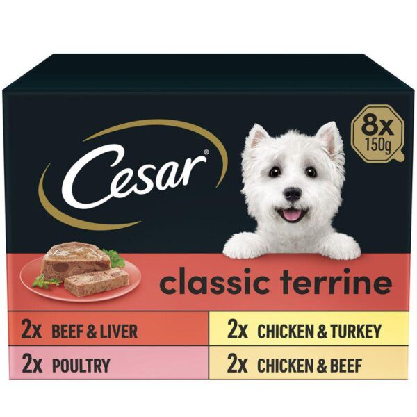Cesar Classic Terrine Mixed Pack-Alifant Food Supply