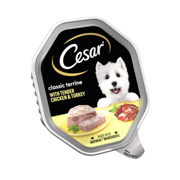 Cesar Classic Trays 14 x 150g- Alifant Food Supplier