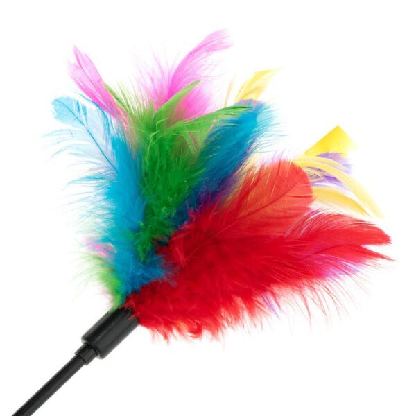 Feather Waggler Cat Toy-Alifant Supplier