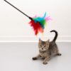 Feather Waggler Cat Toy-Alifant Supplier