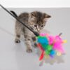 Feather Waggler Cat Toy-Alifant Supplier