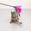 Feather Waggler Cat Toy-Alifant Supplier