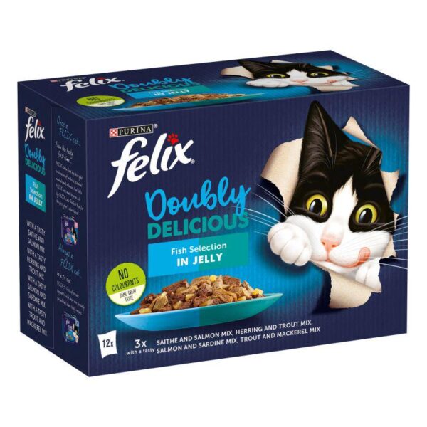 Felix As Good As It Looks - Doubly Delicious 12 x 100g-Alifant Food Supply