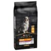 PURINA PRO PLAN Medium & Large Adult 7+ Age Defence-Alifant Food Supplier