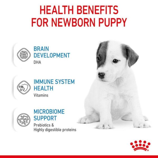 Royal Canin Babydog Milk-Alifant Food Supplier