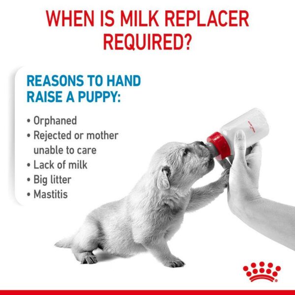 Royal Canin Babydog Milk-Alifant Food Supplier