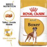 Royal Canin Boxer Adult-Alifan Food Supply