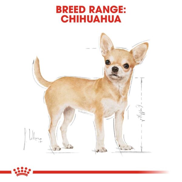 Royal Canin Chihuahua Loaf-Alifant supplier