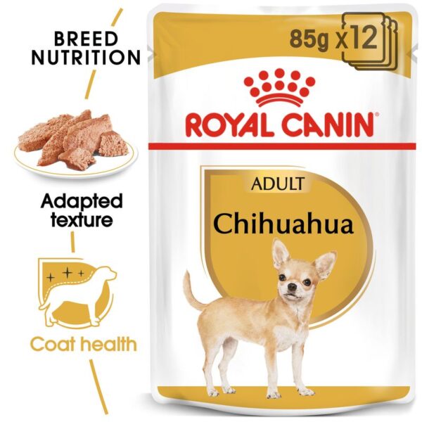 Royal Canin Chihuahua Loaf-Alifant supplier