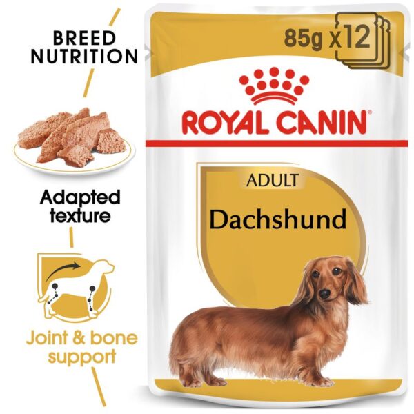 Royal Canin Dachshund Loaf-Alifant supplier