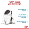 Royal Canin Giant Puppy-Alifant Food Supplier