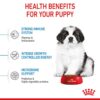 Royal Canin Giant Puppy-Alifant Food Supplier