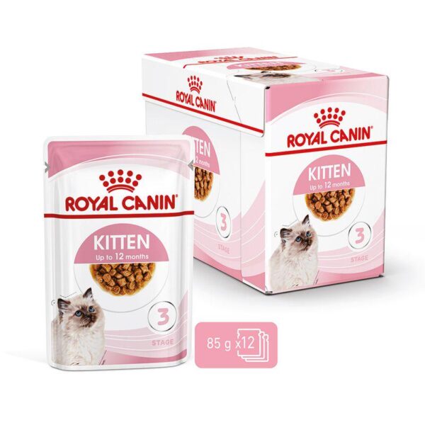 Royal Canin Kitten in Gravy