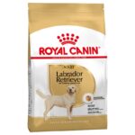 Royal Canin Labrador Retriever Adult-Alifant Food Suplier