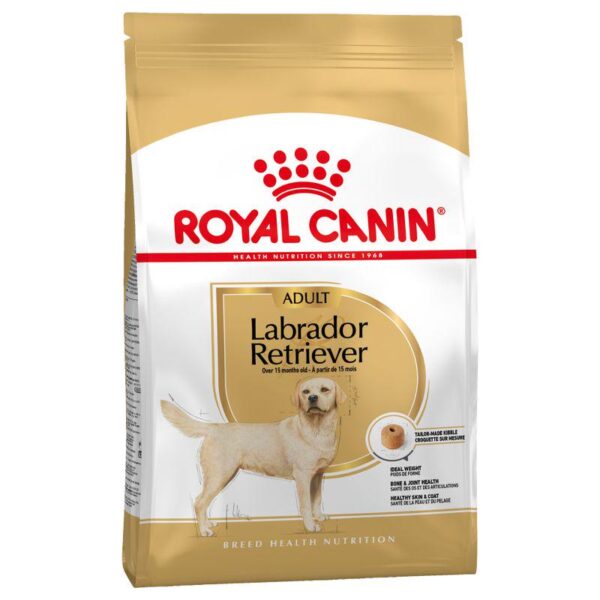 Royal Canin Labrador Retriever Adult-Alifant Food Suplier