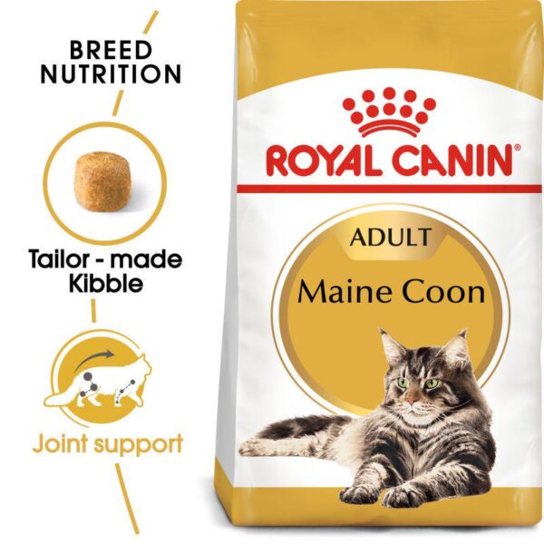Royal Canin Maine Coon Adult-Alifant Food Supply