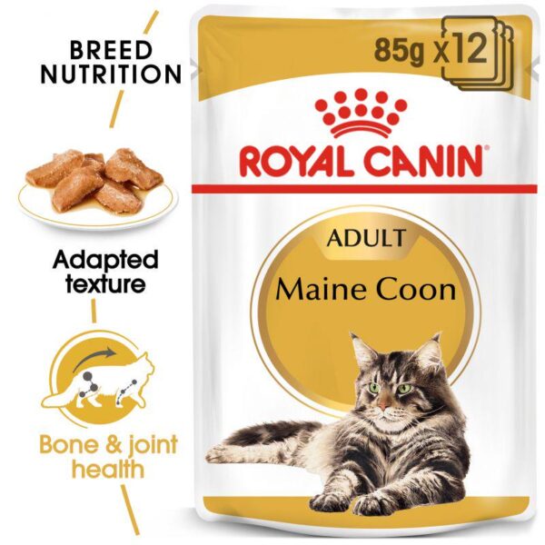 Royal Canin Maine Coon Adult in Gravy