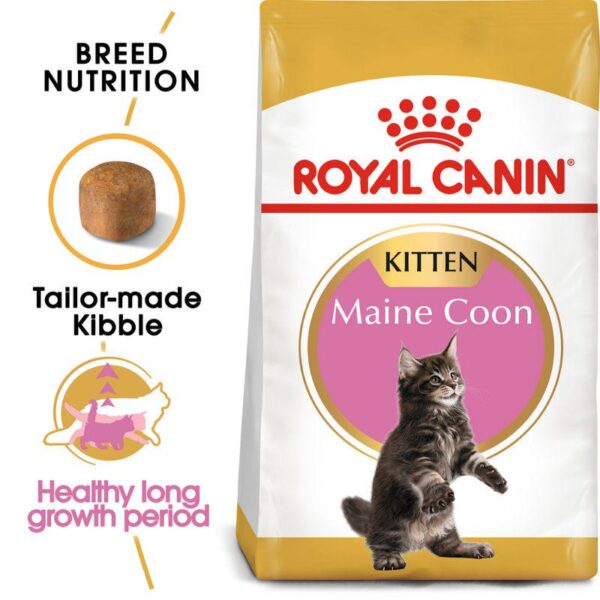 Royal Canin Maine Coon Kitten-Alifant Food Supply