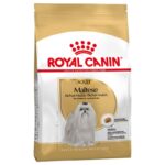 Royal Canin Maltese Adult-Alifant Food Supply