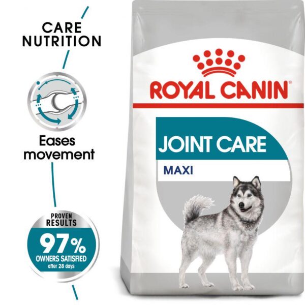 Royal Canin Maxi Joint Care-Alifant Food Supply