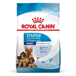 Royal Canin Maxi Starter Mother & Babydog -Alifant Food Supply