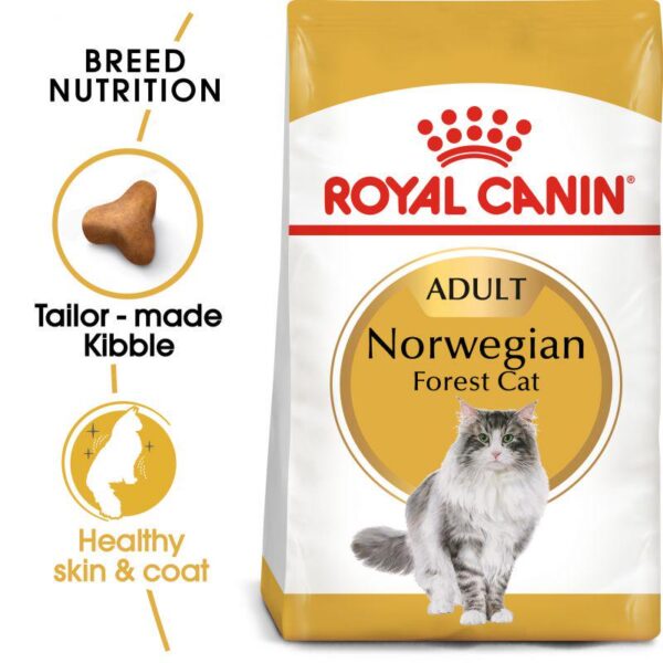 Royal Canin Norwegian Forest Cat Adult-Alifant Food Supply