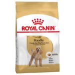 Royal Canin Poodle Adult-Alifant Food Supplier