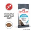 Royal Canin Urinary Care-Alifant Food Supply