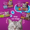 Whiskas 1+ Mixed Menu in Jelly-Alifant supplier