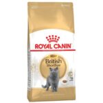 Royal Canin British Shorthair Adult-Alifant Food Supply