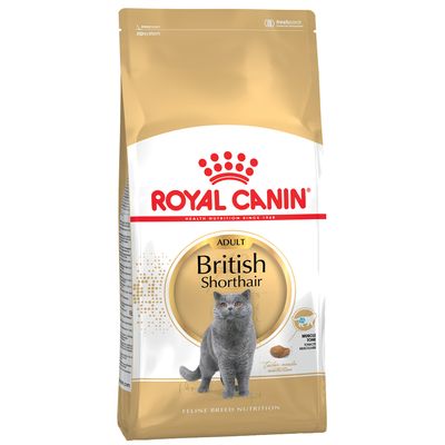 Royal Canin British Shorthair Adult-Alifant Food Supply
