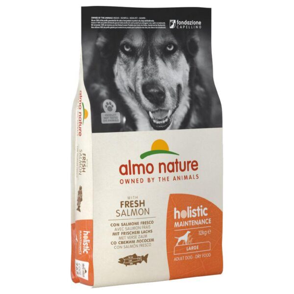 Almo Nature Holistic Large Adult Salmon & Rice Kibble for Dogs-Alifant Food Supplier