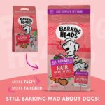 Barking Heads All Hounder Hair Necessities Salmon-Alifant Food Supply