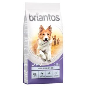 Briantos Adult Active- Alifant Food Supply