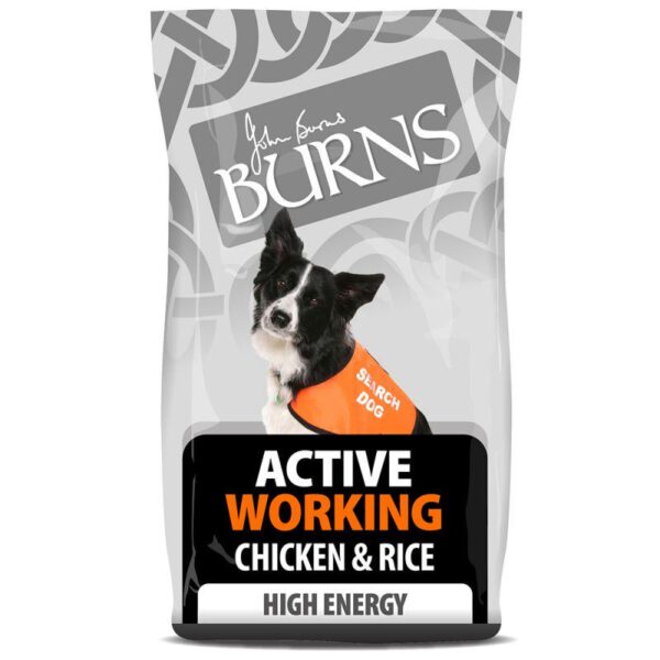 Burns Active Working - Chicken & Rice-Alifant Food Supply