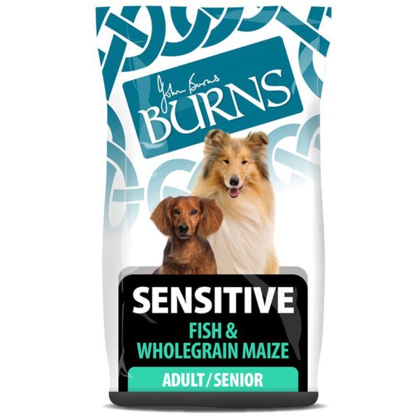 Burns Adult & Senior Sensitive - Fish & Wholegrain Maize-Alifant Food Supply