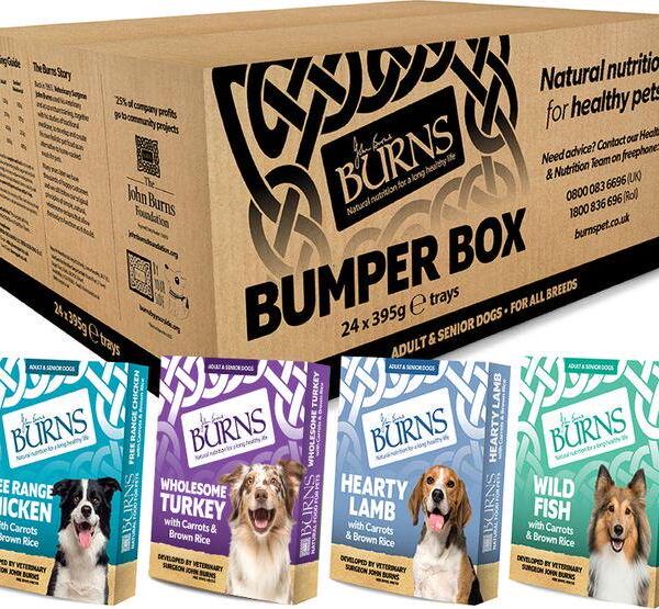 Burns Variety Box Wet Dog Food 12 x 150g - Alifant Food Supplier
