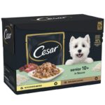 Cesar 10+ Senior Selection in Sauce-Alifant Food Supply