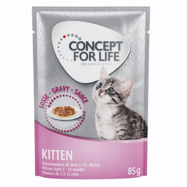 Concept for Life Kitten – in Gravy-Alifant food Supply
