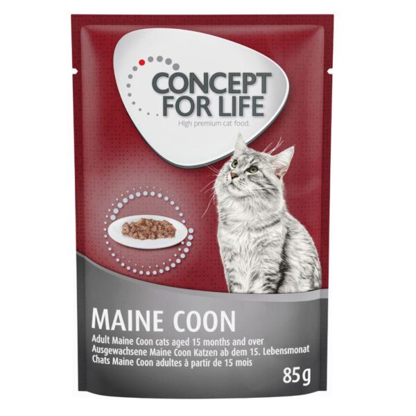 Concept for Life Maine Coon Adult - in Ragout-Alifant Food Supply