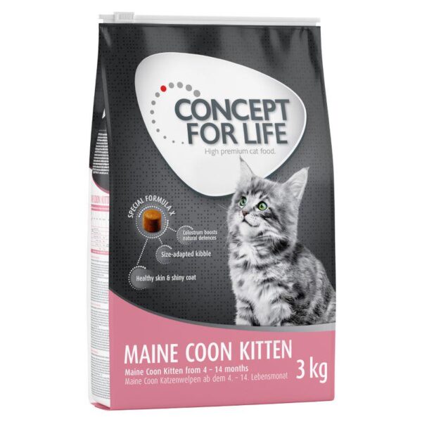 Concept for Life Maine Coon Kitten-Alifant food Supply