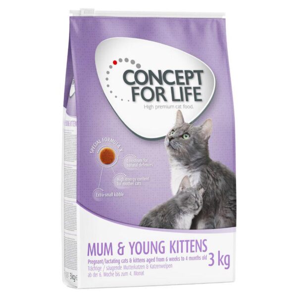 Concept for Life Mum & Young Kittens-Alifant food Supply