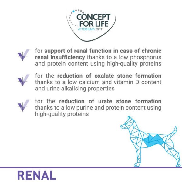 Concept for Life Veterinary Diet Renal-Alifant supplier