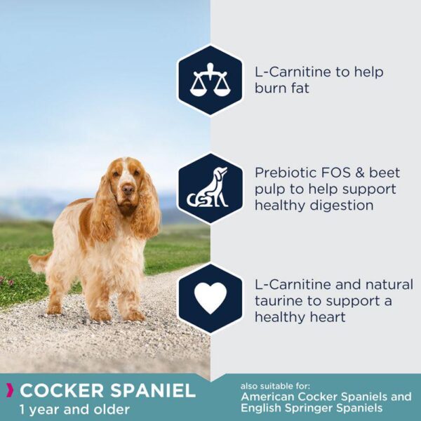 Eukanuba Cocker Spaniel Adult-Alifant Food Supplier