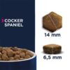 Eukanuba Cocker Spaniel Adult-Alifant Food Supplier