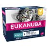 Eukanuba Grain Free Adult - Chicken - Alifant Food Supplier