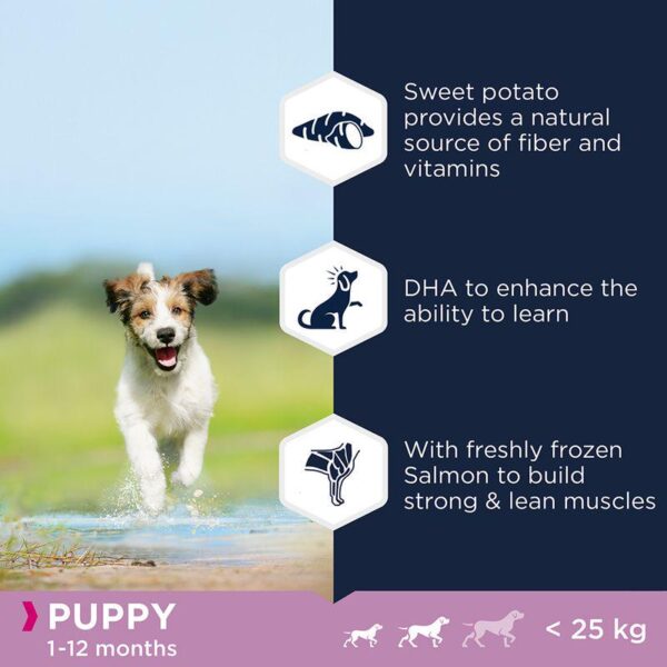 Eukanuba Grain-Free Small & Medium Breed Puppy with Ocean Fish-Alifant Food Supplier